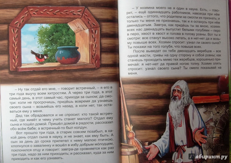 Иллюстрация 18 из 43 для Загадочные сказки | Лабиринт - книги. Источник: Соловьев  Владимир