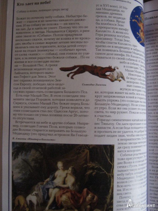 Иллюстрация 14 из 25 для Загадки животного мира - Калашников, Лаврова | Лабиринт - книги. Источник: Евгения39