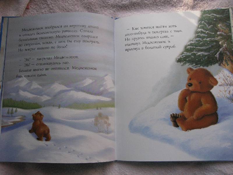 Иллюстрация 12 из 14 для Медвежонок и его друзья - Батлер, Макнотон | Лабиринт - книги. Источник: Eva2030
