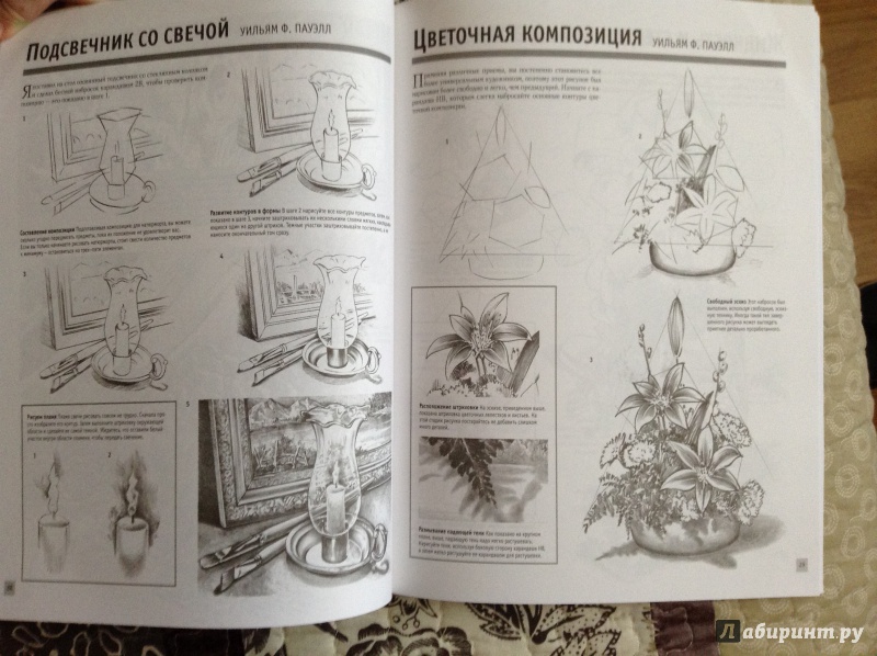 Иллюстрация 7 из 48 для Основы рисования | Лабиринт - книги. Источник: Marysia