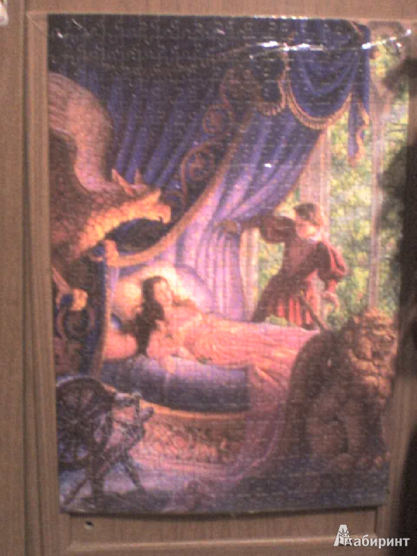 Иллюстрация 8 из 10 для Пазл-мозаика "Спящая красавица" 500 деталей (B-51533) | Лабиринт - игрушки. Источник: Роза с шипами