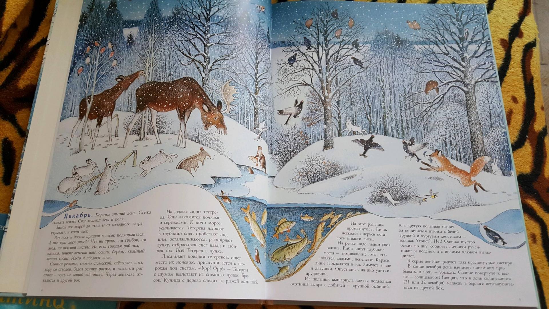 Иллюстрация 90 из 109 для В лесу - Петр Багин | Лабиринт - книги. Источник: Лабиринт