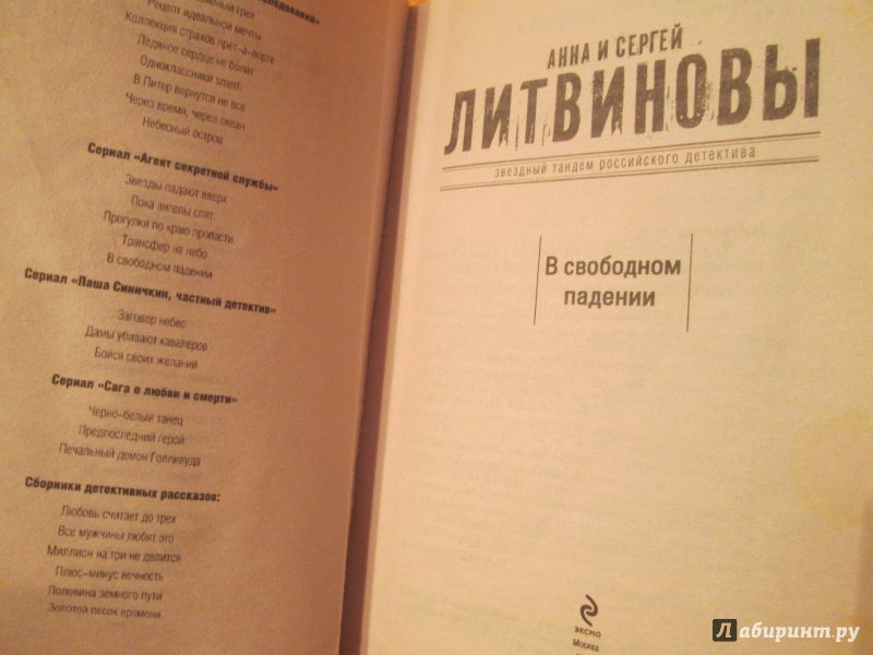 Иллюстрация 13 из 23 для В свободном падении - Литвинова, Литвинов | Лабиринт - книги. Источник: NiNon
