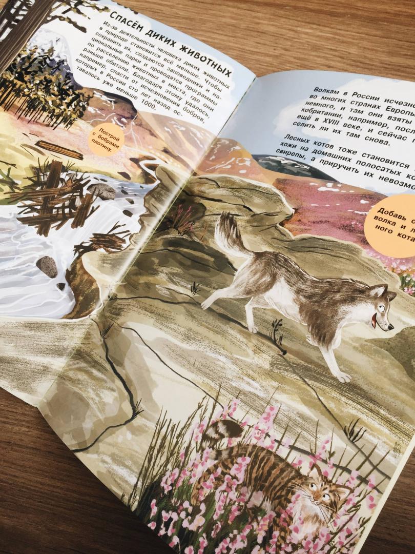 Иллюстрация 44 из 48 для Заяц, ёжик, крот и прочий звериный народ | Лабиринт - книги. Источник: Затравкина  Ольга