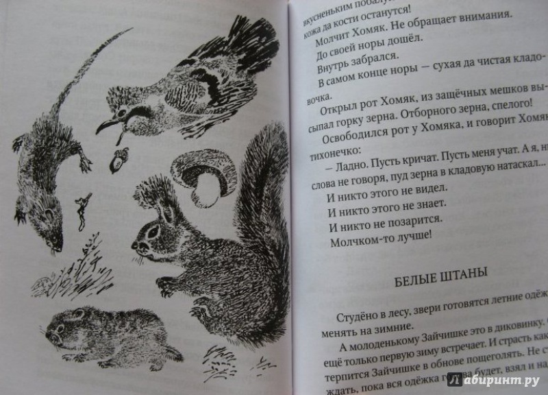 Иллюстрация 11 из 23 для Приключения зайца - Эдуард Шим | Лабиринт - книги. Источник: very_nadegata