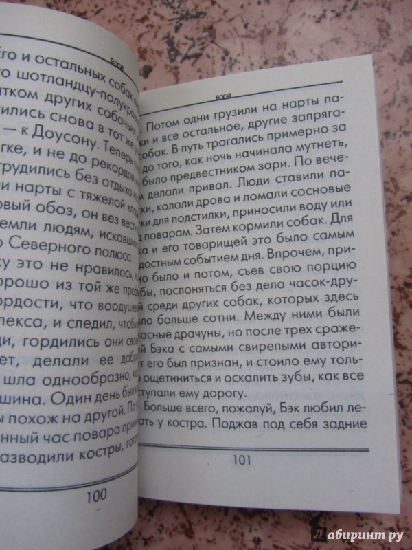 Иллюстрация 6 из 15 для Зов предков - Джек Лондон | Лабиринт - книги. Источник: Печатнова  Наталья