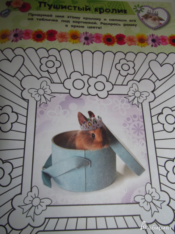 Иллюстрация 13 из 13 для Почеши за ушком! Кролики: такие милые... | Лабиринт - книги. Источник: olga_potapova_y