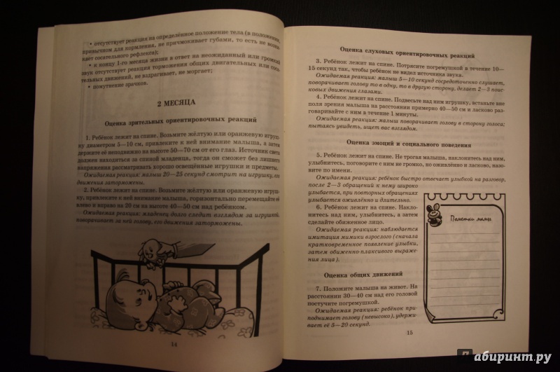 Иллюстрация 8 из 37 для Гармоничное развитие ребенка от рождения до года - Борисенко, Лукина | Лабиринт - книги. Источник: kn