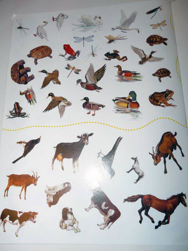 Иллюстрация 18 из 19 для Животные в деревне | Лабиринт - книги. Источник: Smity