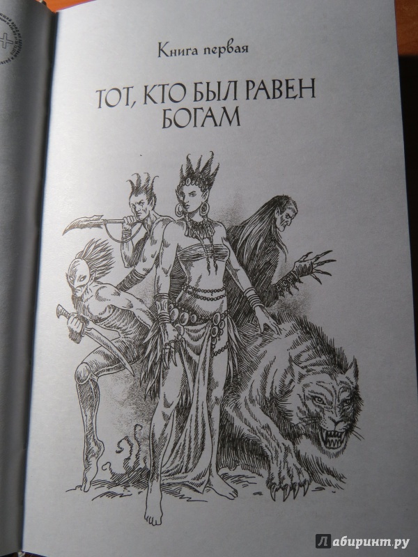 Иллюстрация 2 из 20 для Эльфы. Во власти тьмы - Джеймс Баркли | Лабиринт - книги. Источник: XPIOK