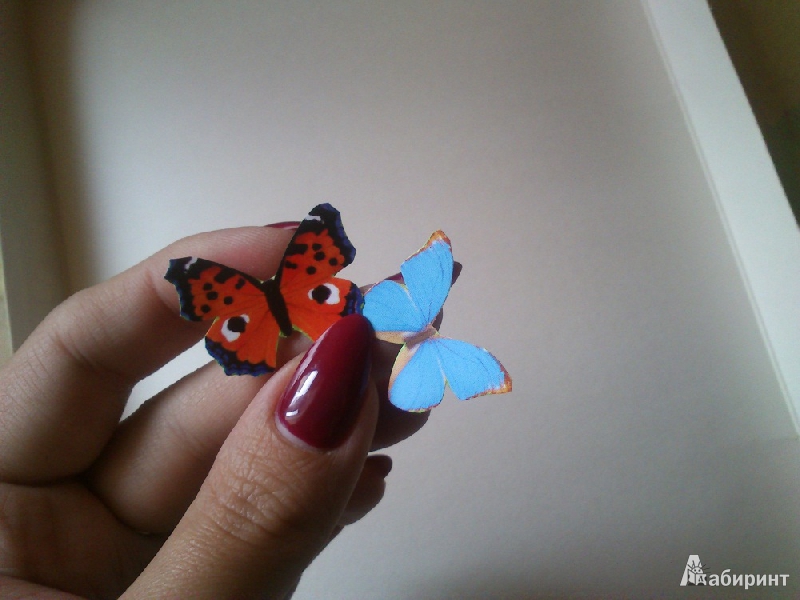 Иллюстрация 13 из 19 для Набор для создания картины "Взлетающие бабочки" (АБ 41-211) | Лабиринт - игрушки. Источник: Shamanella