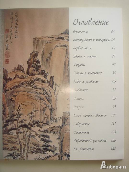 Иллюстрация 20 из 31 для Китайский рисунок кистью: Художественное пособие для начинающих - Полин Шерретт | Лабиринт - книги. Источник: Ryan Kim