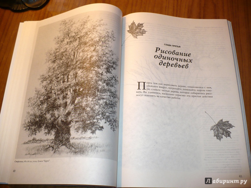 Иллюстрация 38 из 61 для Деревья - Стенли Молцмен | Лабиринт - книги. Источник: Голиков  Сергей Юрьевич