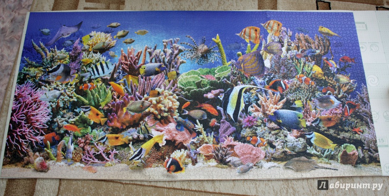 Иллюстрация 2 из 8 для Puzzle-4000 "Подводный мир" (С-400089) | Лабиринт - игрушки. Источник: Едалова  Анна Владимировна