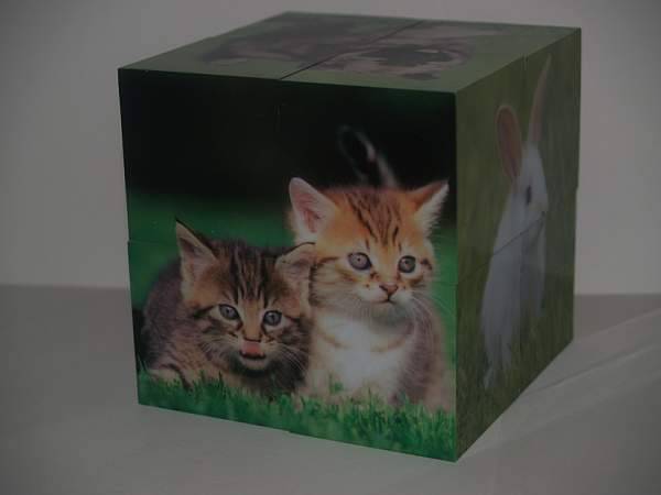 Иллюстрация 3 из 14 для Магнитные кубики-пазлы "Домашние животные" (8 кубиков, 12 пазлов) (14032) | Лабиринт - игрушки. Источник: Cовушка
