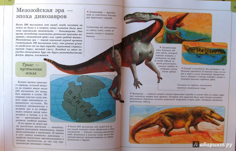 Иллюстрация 32 из 34 для Динозавры | Лабиринт - книги. Источник: Соловьев  Владимир