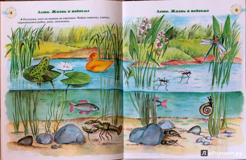 Иллюстрация 5 из 12 для Экология для самых маленьких. Книга для родителей и детей 4-5 лет - Татьяна Богданец | Лабиринт - книги. Источник: E.B.