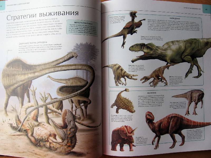 Иллюстрация 66 из 109 для Динозавры. Иллюстрированный атлас - Майкл Бретт-Шуман | Лабиринт - книги. Источник: Red cat ;)