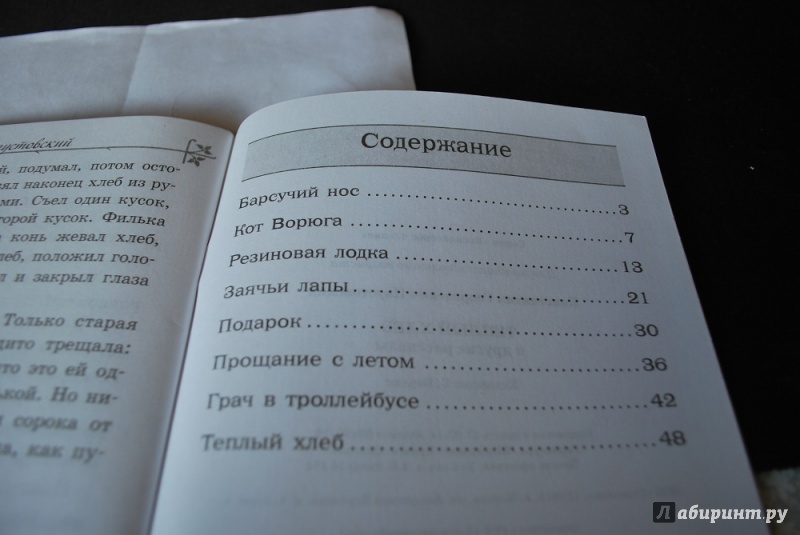 Иллюстрация 10 из 11 для Теплый хлеб и другие рассказы - Константин Паустовский | Лабиринт - книги. Источник: Журавлёва  Анна