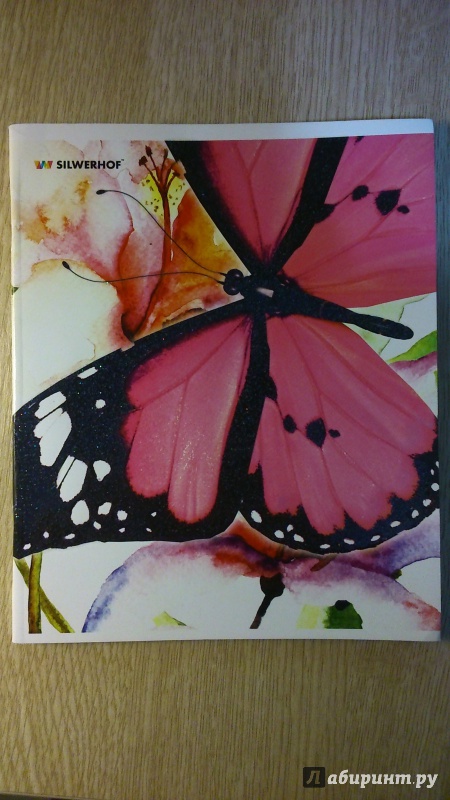 Иллюстрация 1 из 5 для Тетрадь общая "Butterflies" (48 листов, клетка, в ассортименте) (811425-55) | Лабиринт - канцтовы. Источник: Глебова  Алеся Дмитриевна