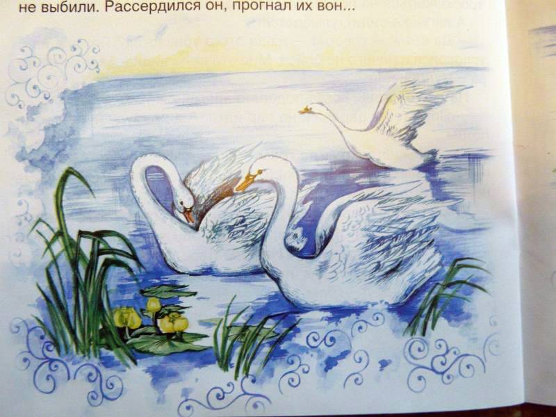 Иллюстрация 20 из 41 для Царевна-лягушка | Лабиринт - книги. Источник: Smity