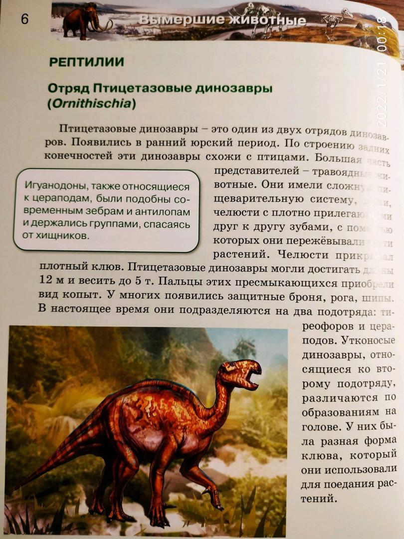 Иллюстрация 30 из 41 для Вымершие животные | Лабиринт - книги. Источник: Ekaterina Фиалковая