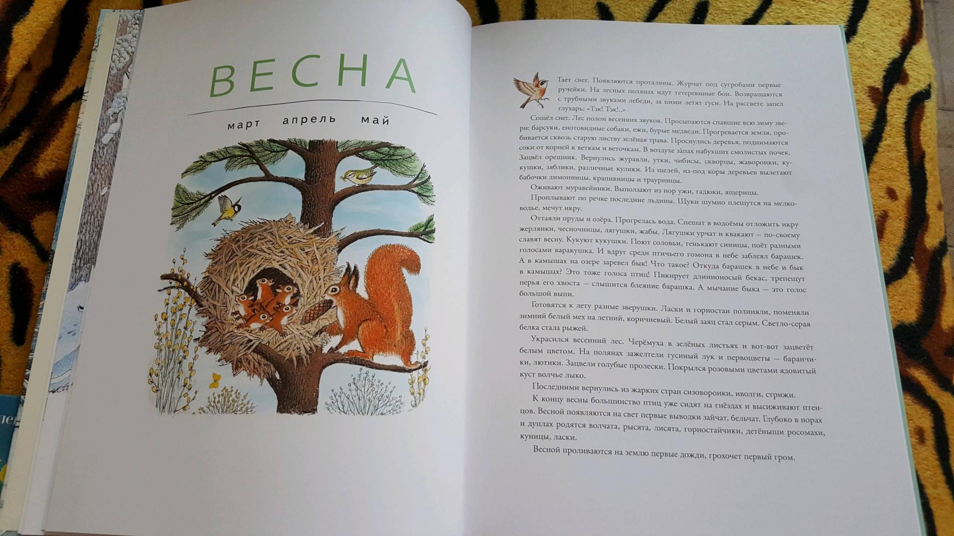 Иллюстрация 89 из 109 для В лесу - Петр Багин | Лабиринт - книги. Источник: Лабиринт