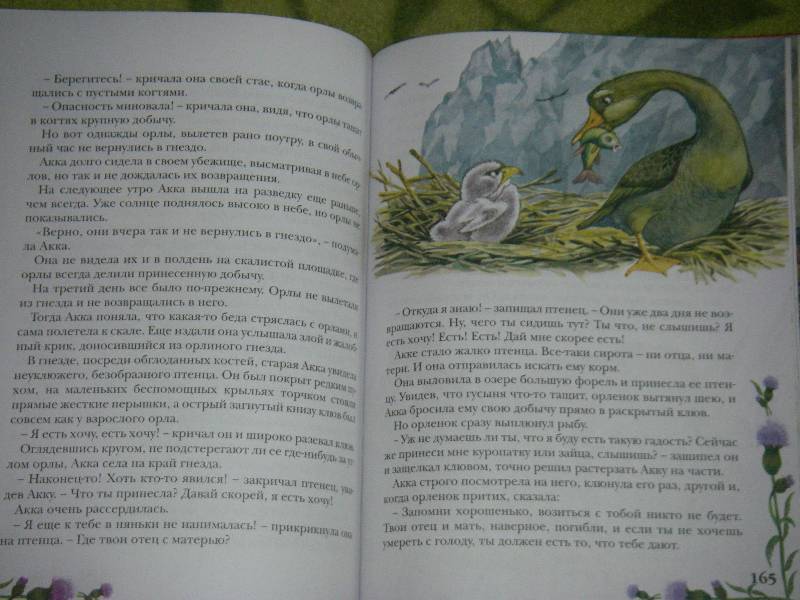 Иллюстрация 39 из 61 для Чудесное путешествие Нильса с дикими гусями - Сельма Лагерлеф | Лабиринт - книги. Источник: Ромашка:-)