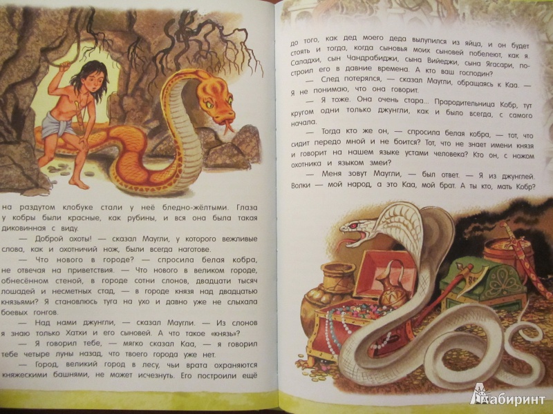 Иллюстрация 41 из 97 для Маугли - Редьярд Киплинг | Лабиринт - книги. Источник: Сандракова Юля