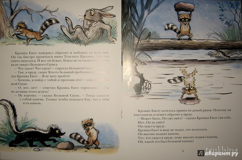 Иллюстрация 62 из 97 для Крошка Енот и тот, кто сидит в пруду - Лилиан Муур | Лабиринт - книги. Источник: Трухина Ирина