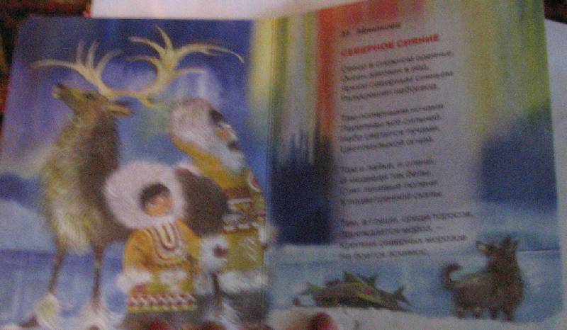 Иллюстрация 27 из 27 для Сказки зимушки-зимы | Лабиринт - книги. Источник: НаташкаVip
