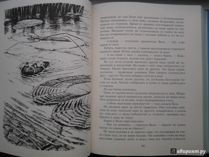 Иллюстрация 53 из 101 для Необыкновенные приключения Карика и Вали - Ян Ларри | Лабиринт - книги. Источник: Olga