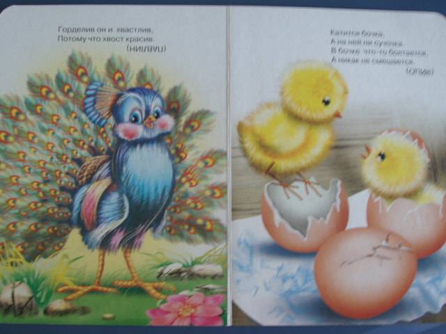 Иллюстрация 3 из 3 для Загадки с картинками. Домашние птицы | Лабиринт - книги. Источник: Витаминка