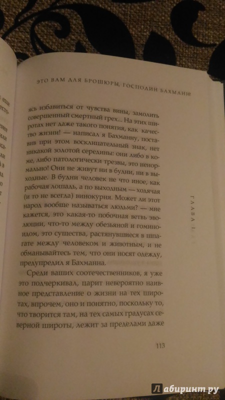 Иллюстрация 11 из 11 для Это Вам для брошюры, господин Бахманн! - Карл-Йоганн Вальгрен | Лабиринт - книги. Источник: Ollivika