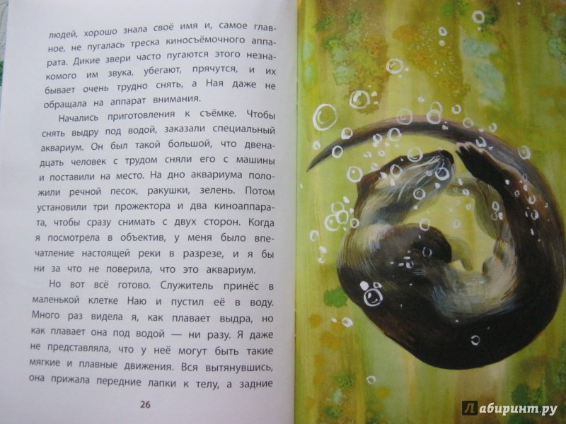 Иллюстрация 24 из 25 для Ная-выдрёнок: рассказы - Вера Чаплина | Лабиринт - книги. Источник: Исмайылова Марина