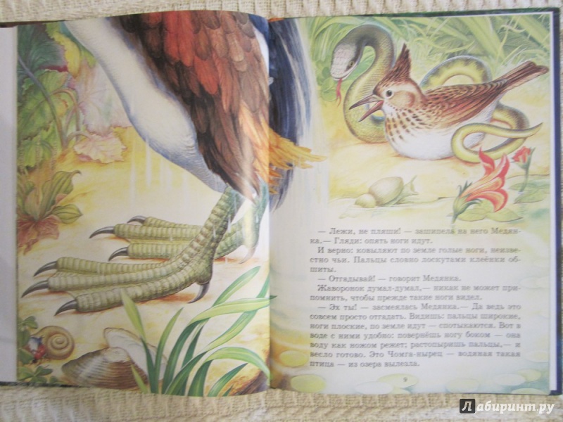Иллюстрация 5 из 18 для Лесные домишки - Виталий Бианки | Лабиринт - книги. Источник: ЮлияО
