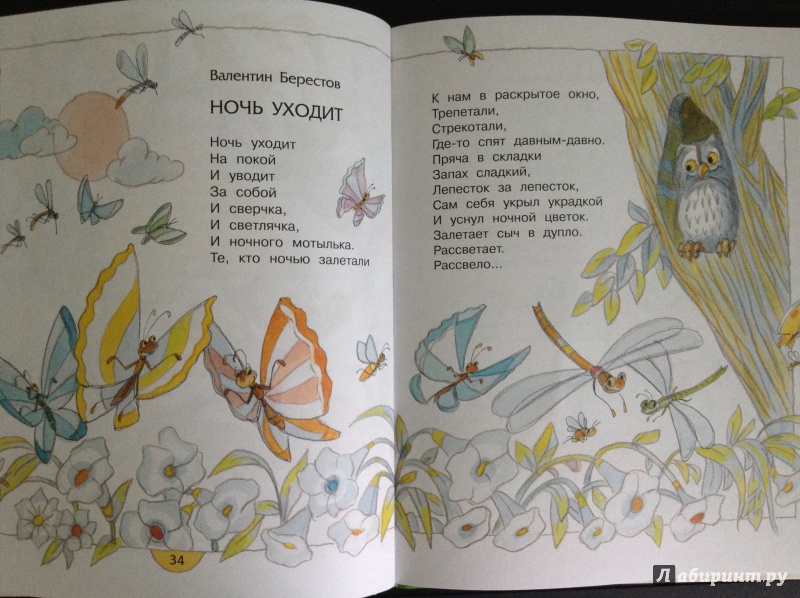 Иллюстрация 26 из 43 для Учёный жучок - Лунин, Мошковская, Токмакова | Лабиринт - книги. Источник: Lapchi