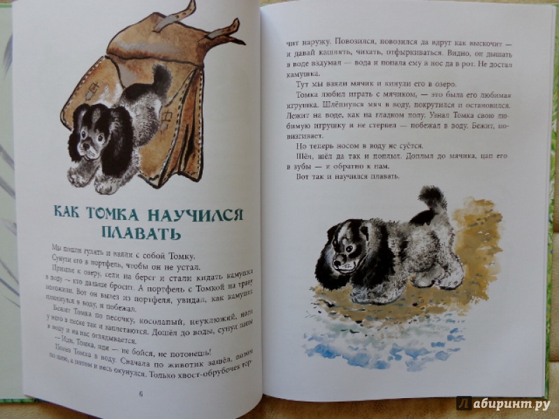 Иллюстрация 7 из 42 для Томкины сны - Евгений Чарушин | Лабиринт - книги. Источник: Матти Суоми