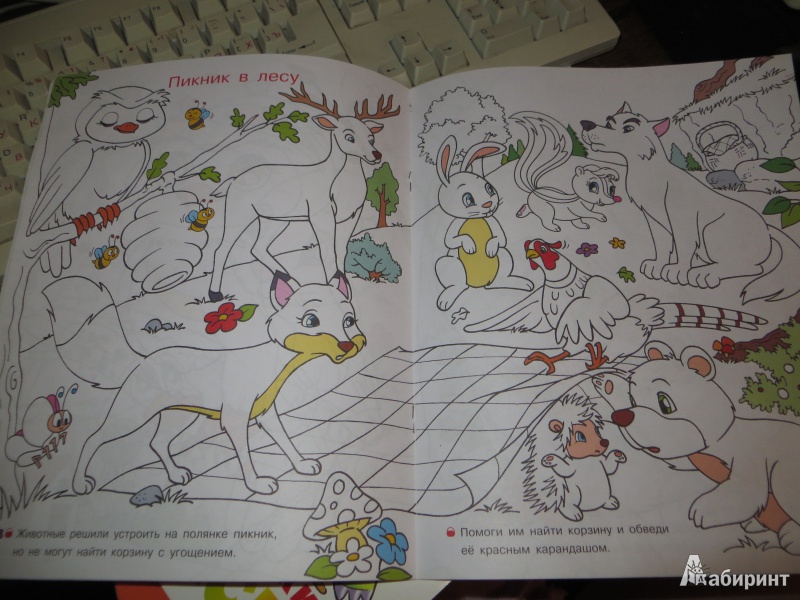 Иллюстрация 2 из 4 для Раскрась по образцу. Лесные животные | Лабиринт - книги. Источник: Ko-ren