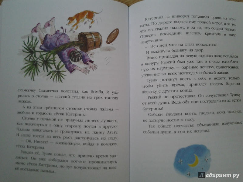 Иллюстрация 19 из 46 для Тузик, Рыжий и гости - Ян Грабовский | Лабиринт - книги. Источник: Olga