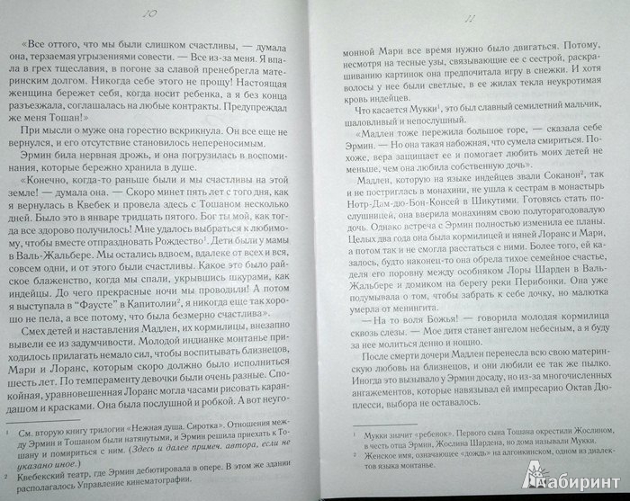 Иллюстрация 6 из 23 для Сиротка. Дыхание ветра - Мари-Бернадетт Дюпюи | Лабиринт - книги. Источник: Леонид Сергеев