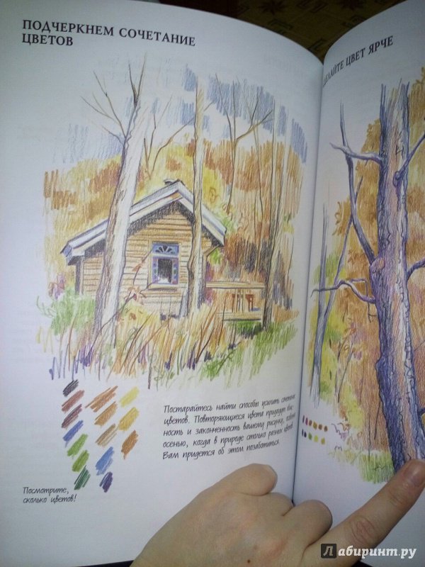 Иллюстрация 42 из 49 для Наброски и рисунок - Кэти Джонсон | Лабиринт - книги. Источник: Лабиринт