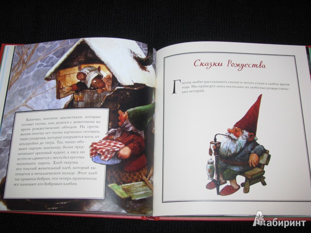 Иллюстрация 37 из 64 для Рождество гномов | Лабиринт - книги. Источник: Nemertona