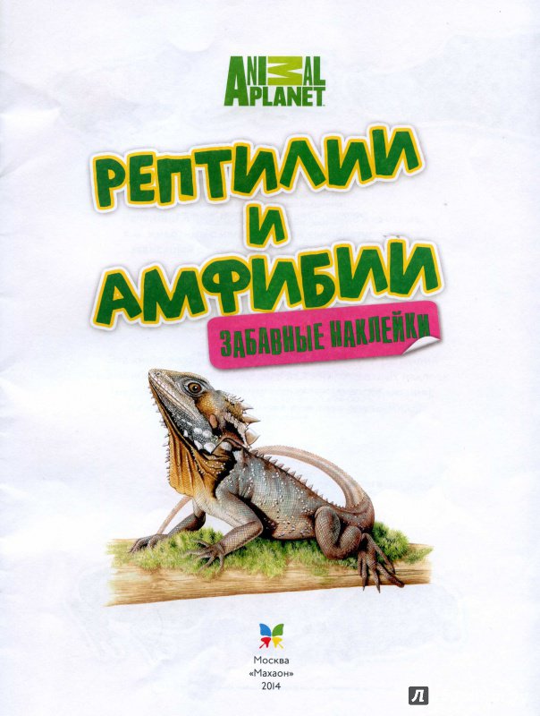 Иллюстрация 8 из 13 для Рептилии и амфибии | Лабиринт - книги. Источник: Полецкая  Яна
