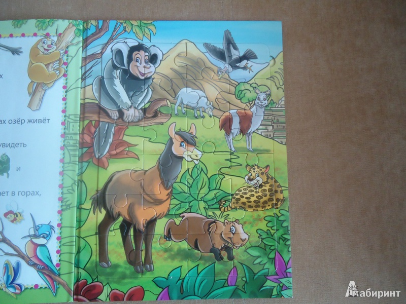Иллюстрация 5 из 11 для Животные в лесу | Лабиринт - книги. Источник: Романовский  Владимир Игоревич