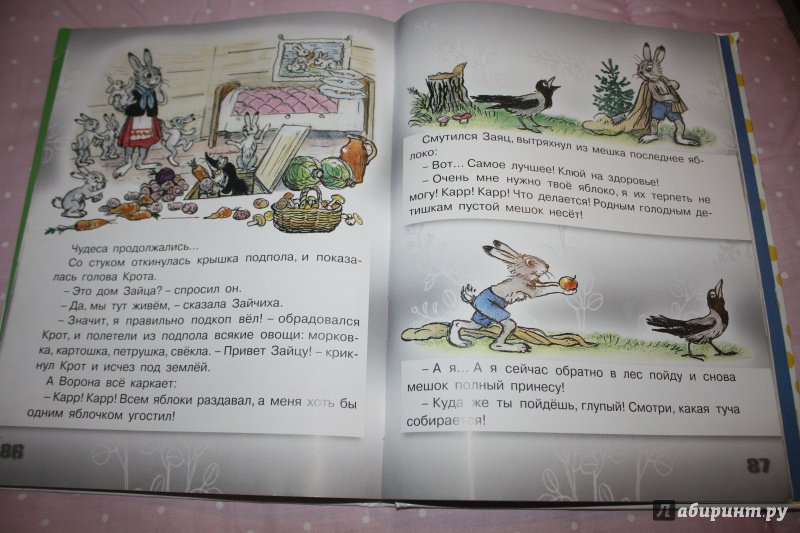 Иллюстрация 23 из 27 для Сказки в картинках - Владимир Сутеев | Лабиринт - книги. Источник: VikaHapalkina