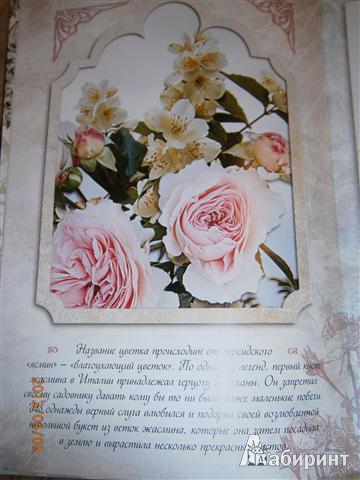 Иллюстрация 21 из 22 для Цветы к празднику | Лабиринт - книги. Источник: Малу