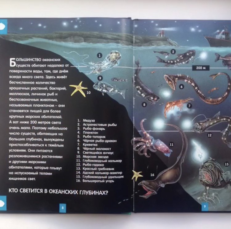 Иллюстрация 17 из 24 для Светящаяся книга о подводном мире - Николас Харрис | Лабиринт - книги. Источник: Зуева  Анастасия