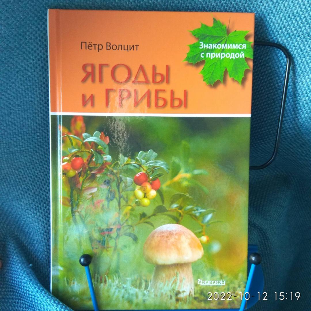 Иллюстрация 59 из 59 для Ягоды и грибы - Петр Волцит | Лабиринт - книги. Источник: Оля