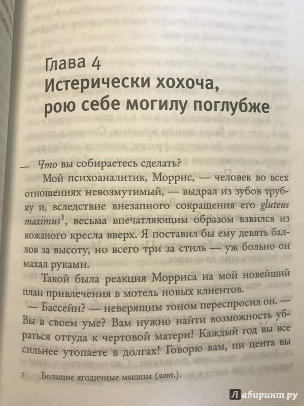 Иллюстрация 32 из 38 для Взятие Вудстока - Эллиот Тайбер | Лабиринт - книги. Источник: Карпухина  Любовь